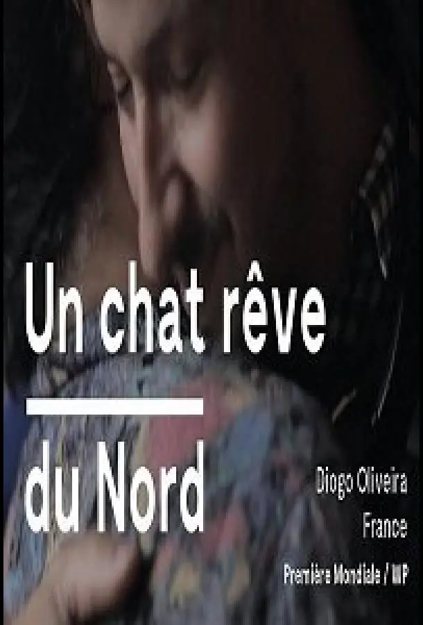 Кот, мечтающий о севере 2020 смотреть онлайн в хорошем HD качестве