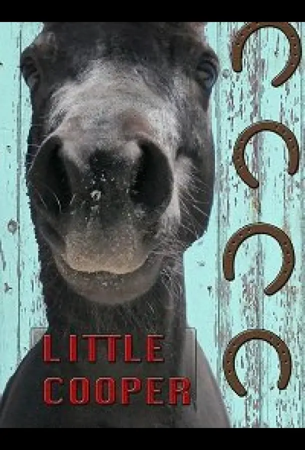 Маленький Купер 2020 смотреть онлайн в хорошем HD качестве
