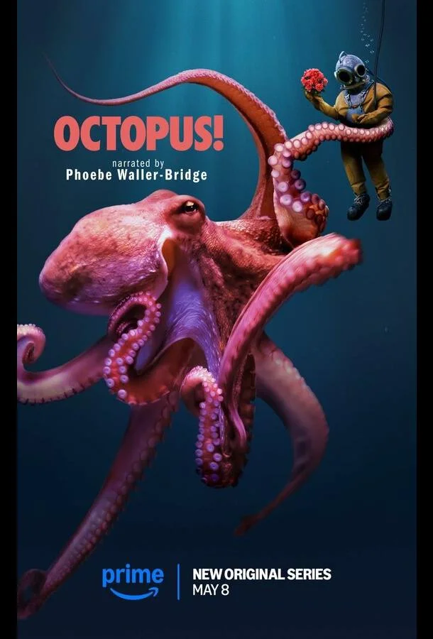Осьминог! 1 сезон, 1-2 серии смотреть сериал онлайн