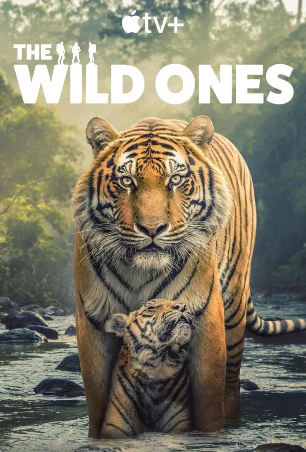 В мире дикой природы 1 сезон, 1-6 серии смотреть сериал онлайн