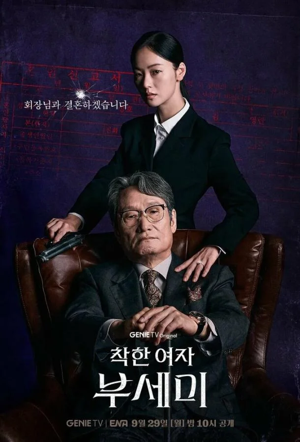 Госпожа Инкогнито / Хорошая женщина Бу Се Ми 1 сезон, 1-12 серии смотреть сериал онлайн