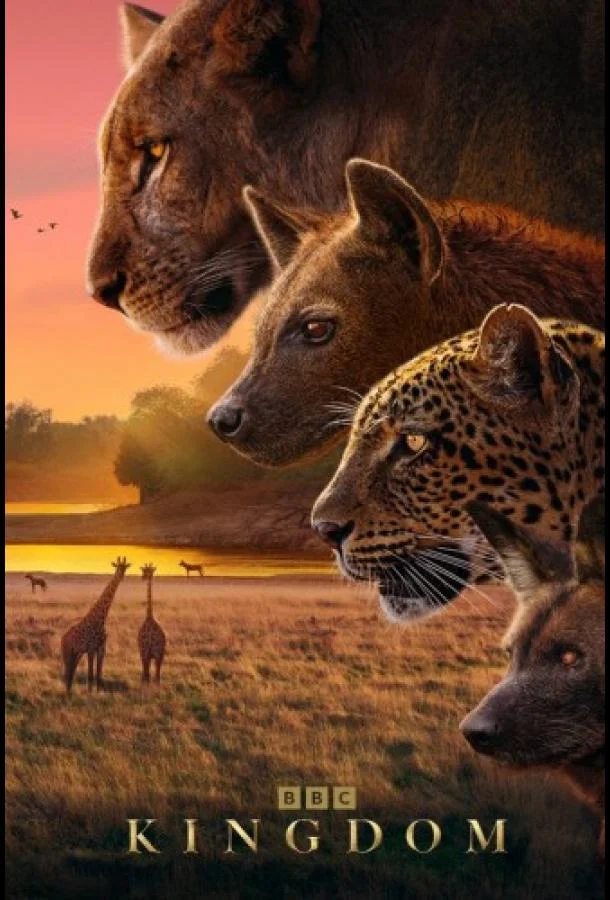 Царство животных 1 сезон, 1-6 серии смотреть сериал онлайн